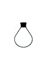 Rotapavör BALONU Buharlaştırma NS 29/32 250