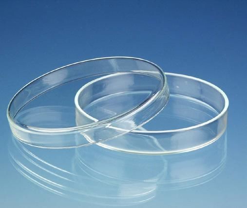 Petri Kutusu 90 X 15 Mm