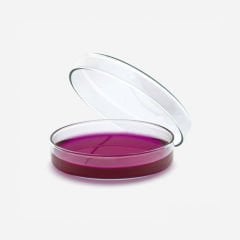 Petri Kutusu - Cam - 80 X 15 Mm
