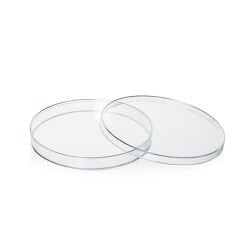 Plastik Petri Kabı Gama Steril 150 mm  10 AD / 1 PK
